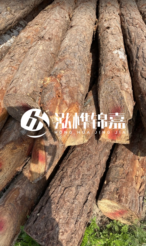 <strong>松木樁和杉木樁的用途區(qū)別？哪個(gè)更適合打樁用？</strong>