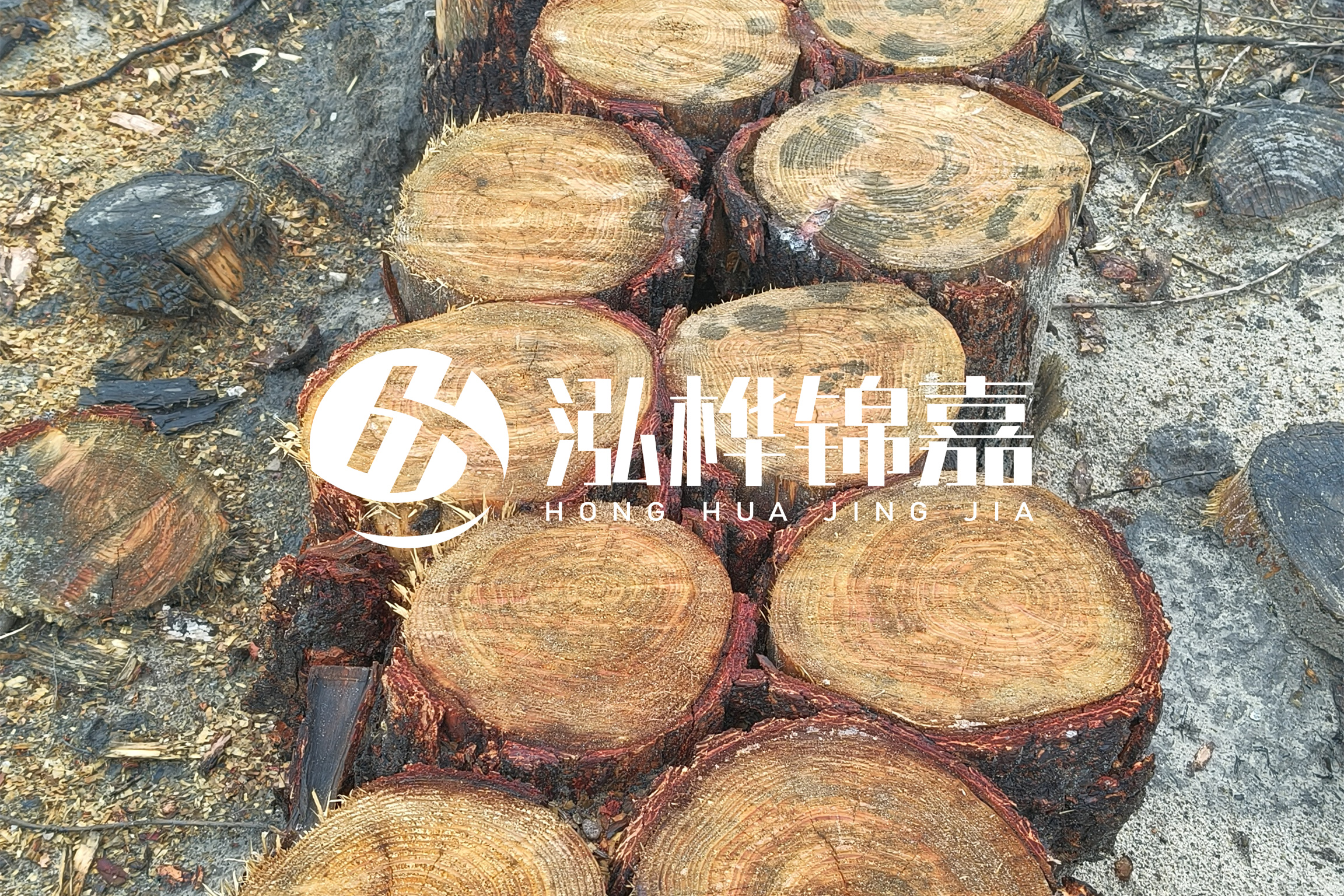 浙江臺(tái)州有清淤的公司嗎？浙江臺(tái)州有清淤施工隊(duì)嗎？