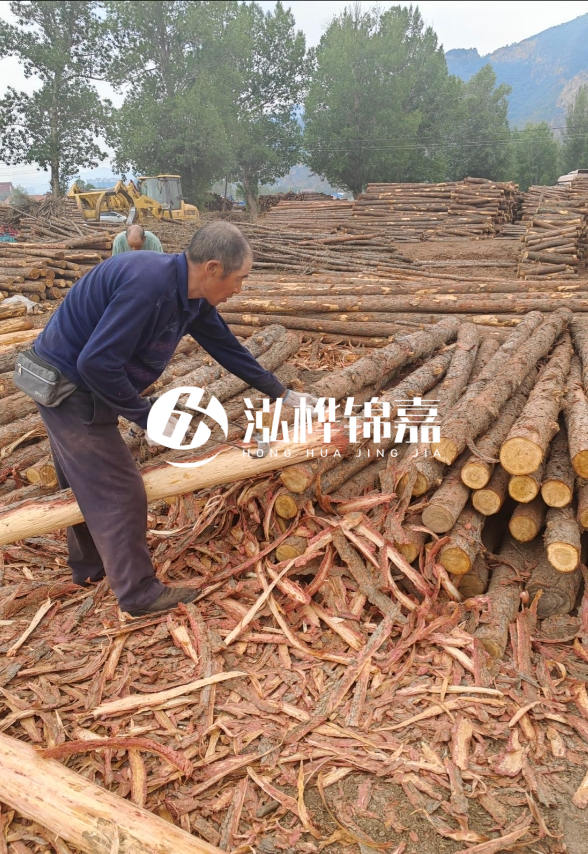 東營河道清淤專業(yè)施工隊-不同型號挖機清淤能力對比？