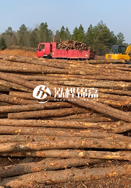 8米小頭11-13CM的松木樁價格是多少？打樁施工怎么算？