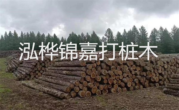 河道松木樁施工方案，保護(hù)水環(huán)境，促進(jìn)生態(tài)恢復(fù)