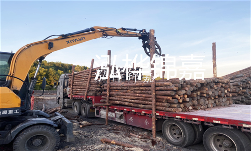 打護(hù)坡松木樁施工視頻-保障道路安全，提升城市形象！