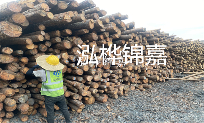當(dāng)建筑需要強(qiáng)大支撐，鄭州這里有松木樁！